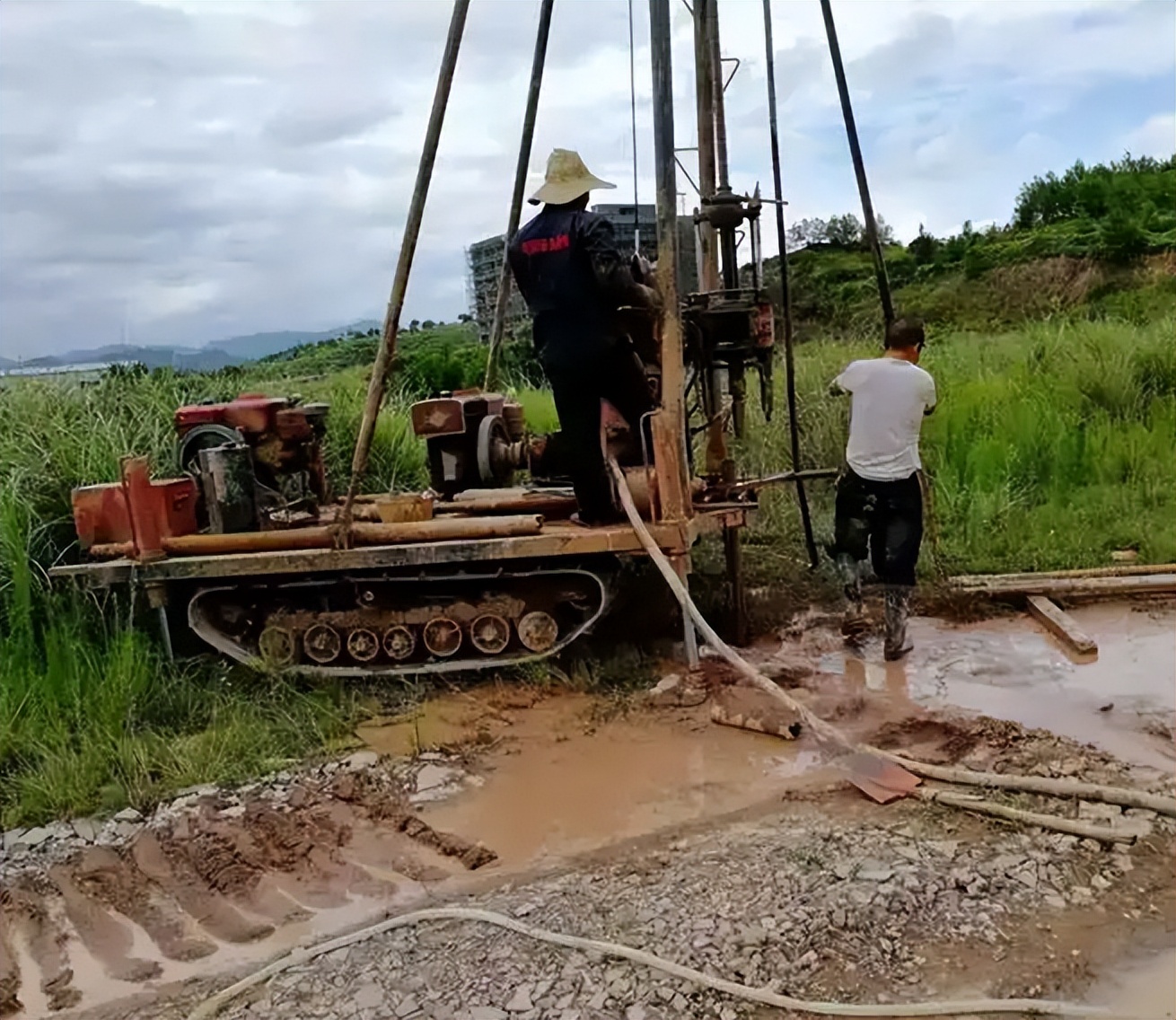 日本人山东租1500亩地的故事 (2006年日本人在山东租50亩地)