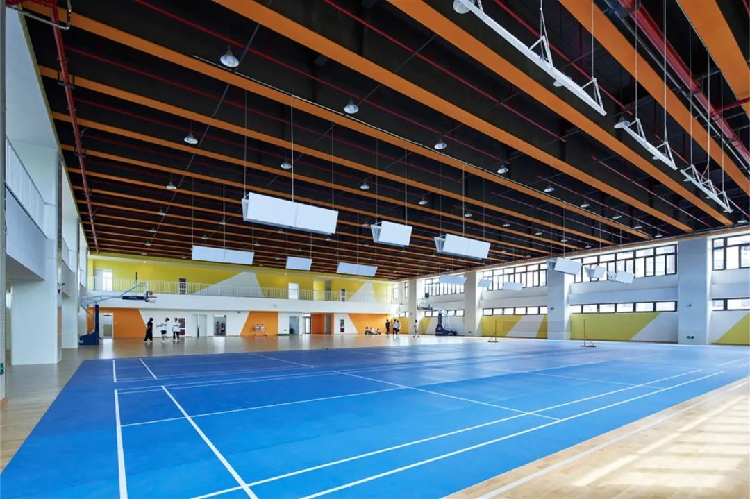 小学体育馆设计案例大全,学校体育馆功能设计方案