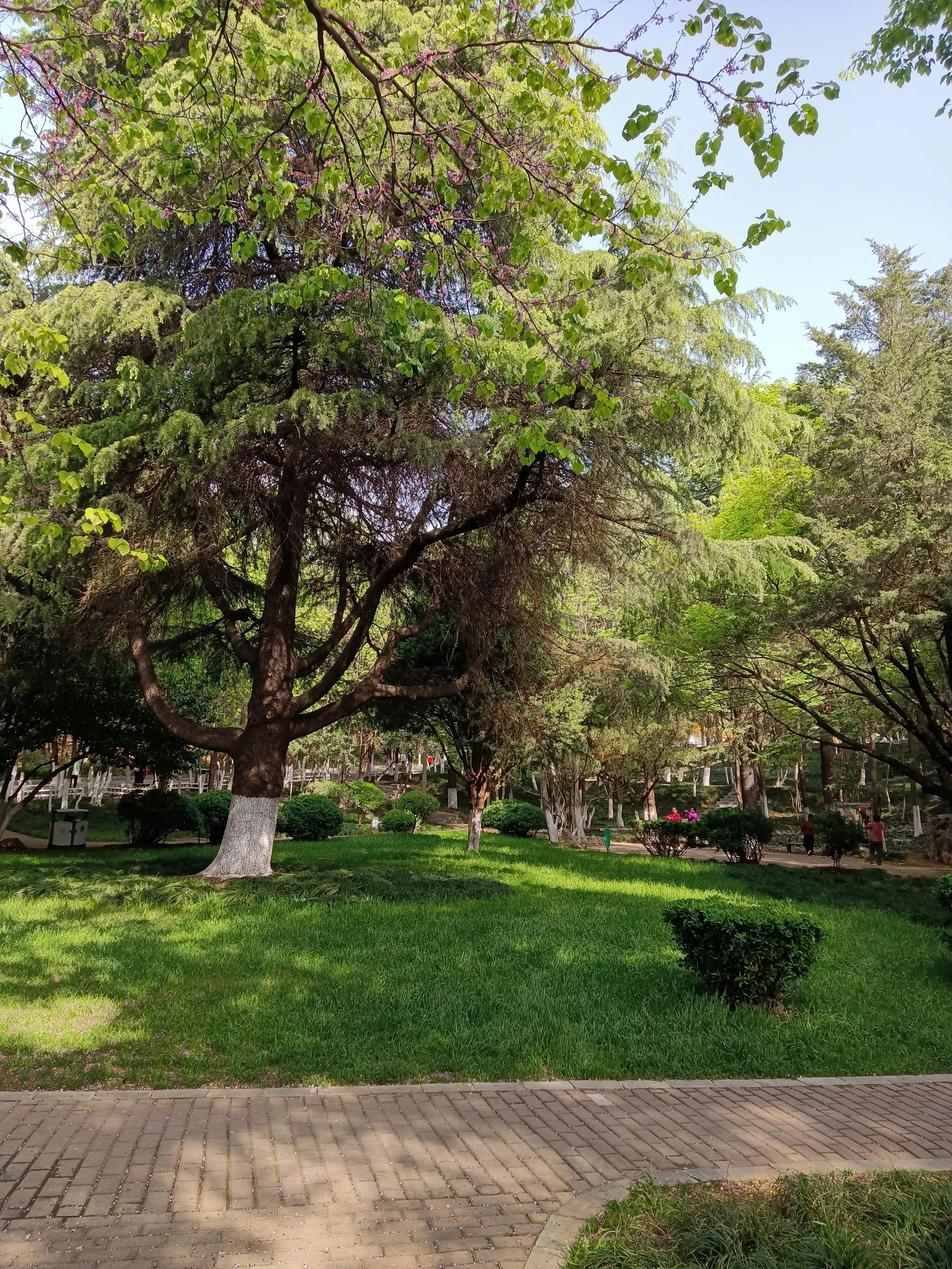 落英缤纷文章,有感于的意思