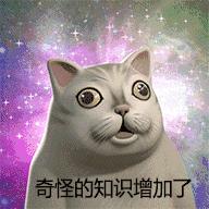 中午12点是a.m还是p.m,中午的12点10分是am还是pm呢