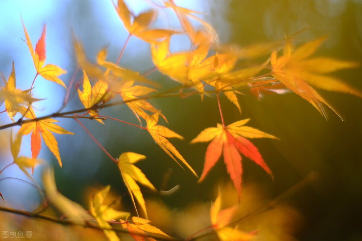 有一种真爱叫心有灵犀,有一种爱叫相思入骨