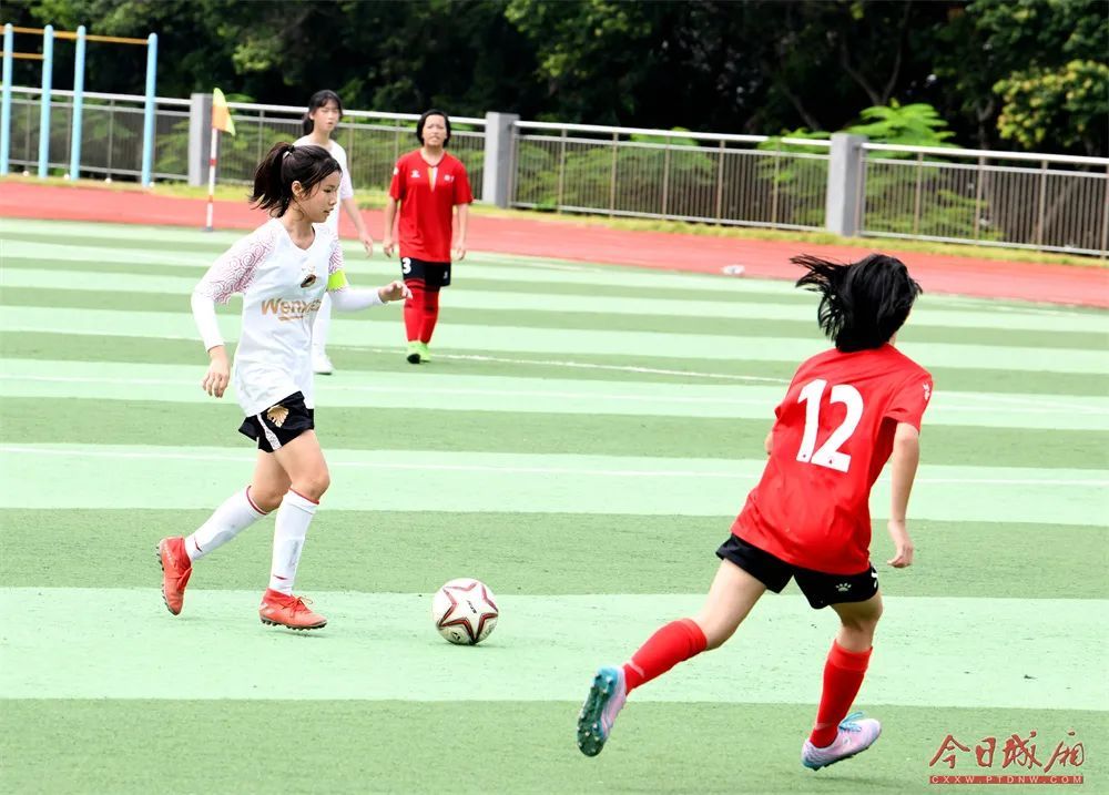 莆田花开,莆田开花