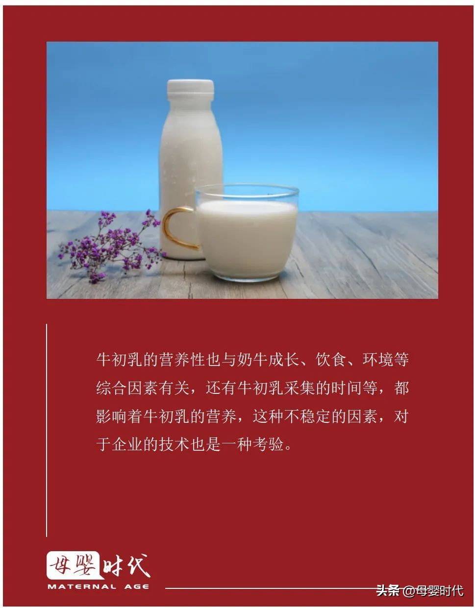 牛初乳缺乏会怎样,牛初乳为什么那么难喝