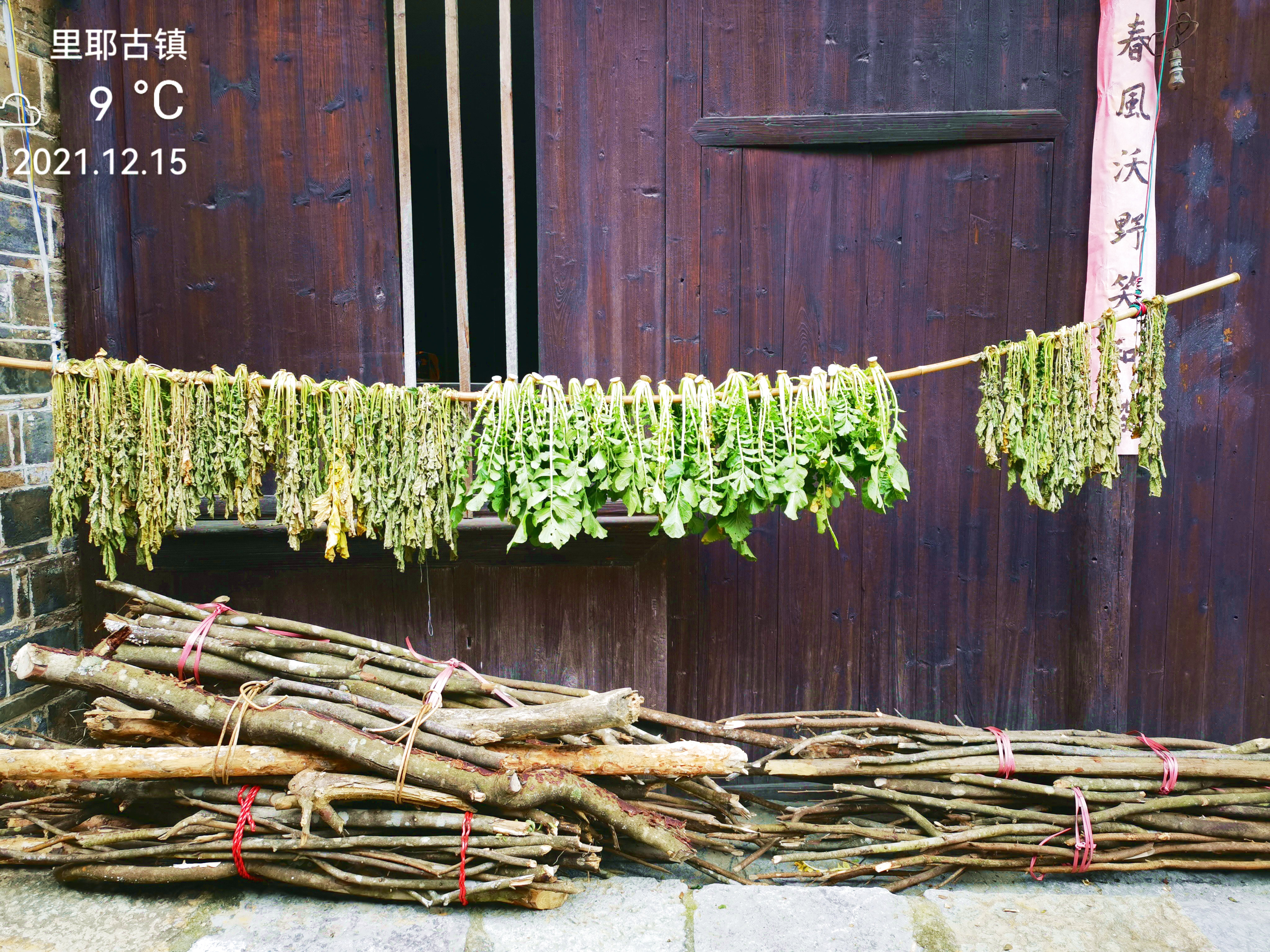 这里的两部百科全书值得一读
