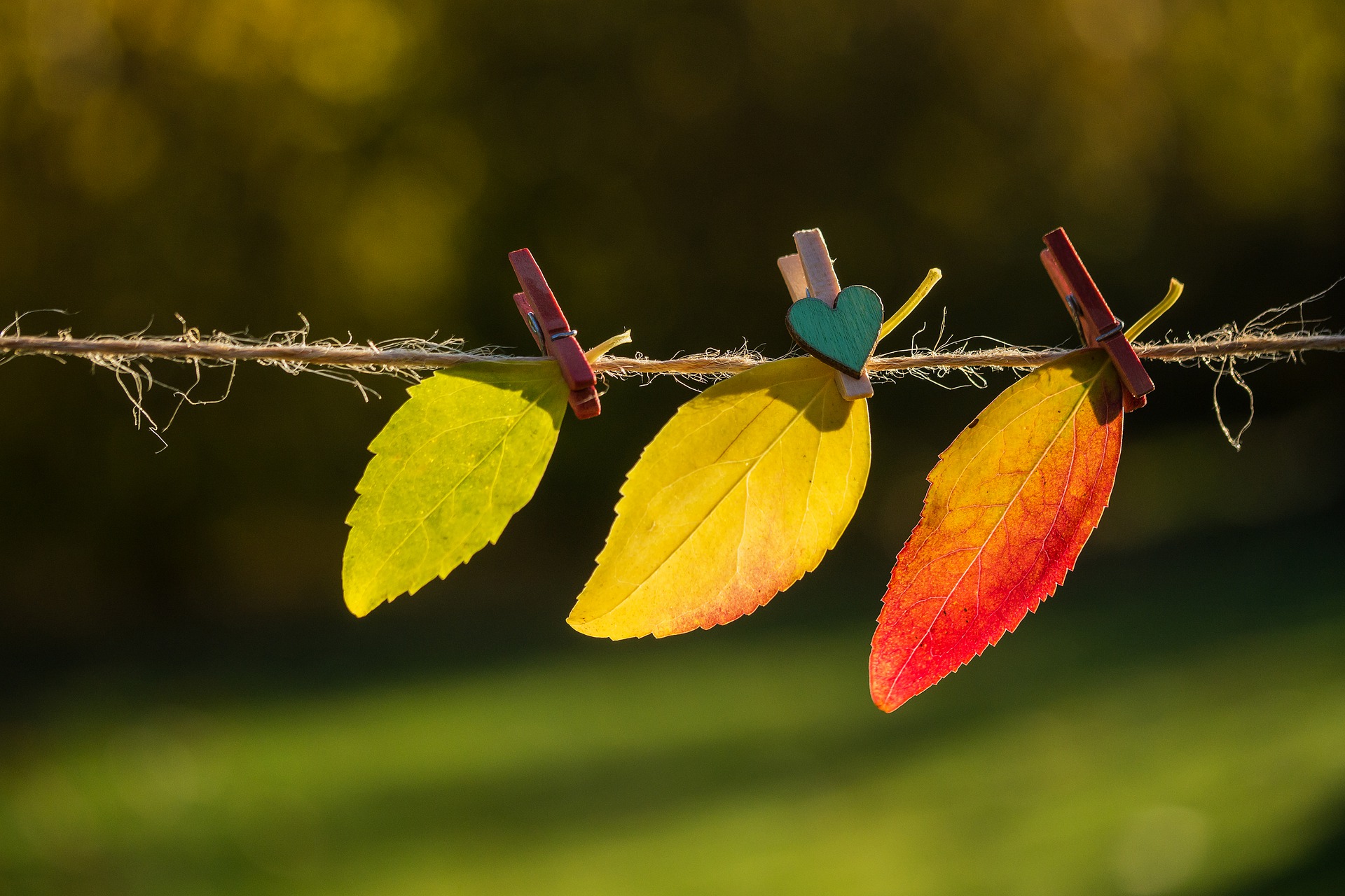 男人不会真正爱一个人的表现,男人眼中的爱一个人最高境界