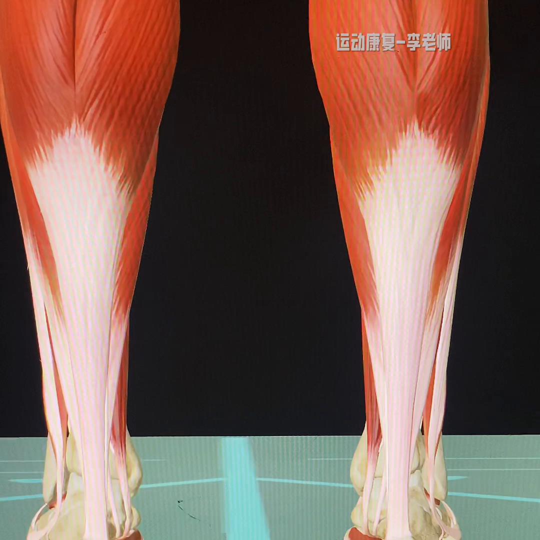 体态歪斜矫正,体态歪斜面部变形