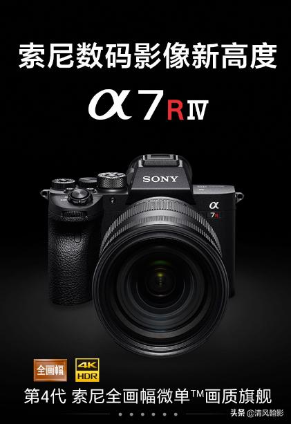 拍鸟什么微单相机合适,索尼a7r4深度拍摄感受