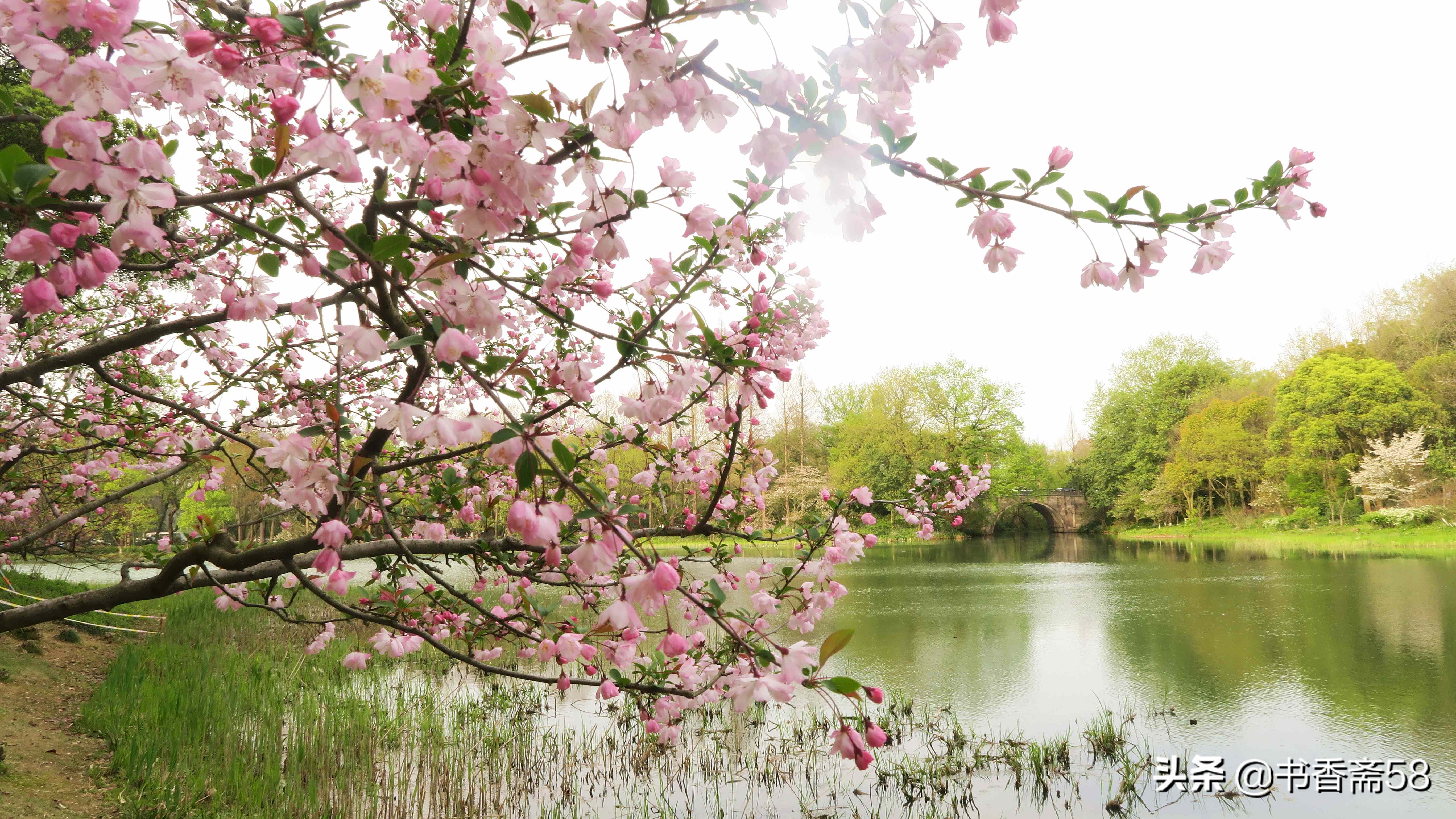 游玩西湖最佳线路攻略,西湖游览公交车路线