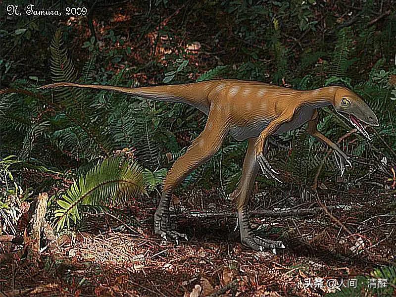 有翅膀的恐龙大全有图片有名字,带羽毛的恐龙名字及图片