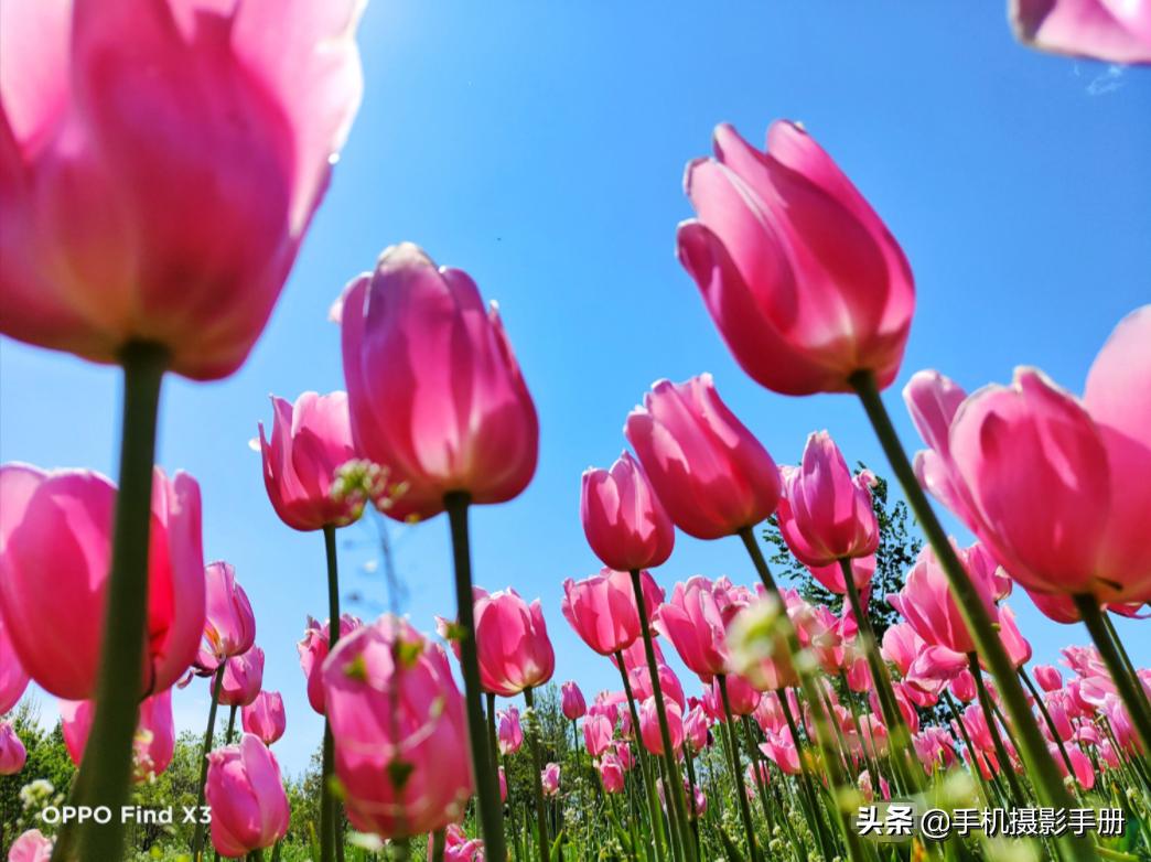 华为手机摄影教程由入门到精通,苹果手机摄影教程由入门到精通