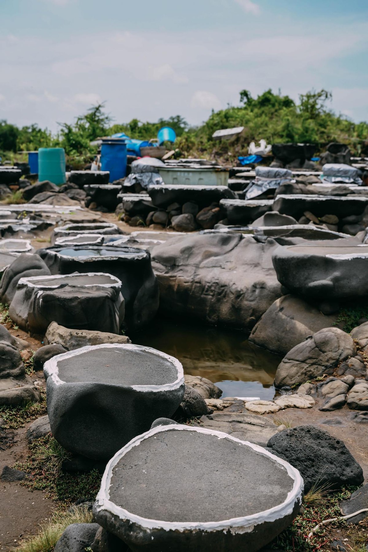 炎炎夏日，踏浪而来，赶赴一场和海南的约“惠”