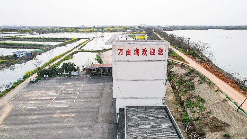 鄂州泽林镇新闻,鄂州泽林镇最新规划