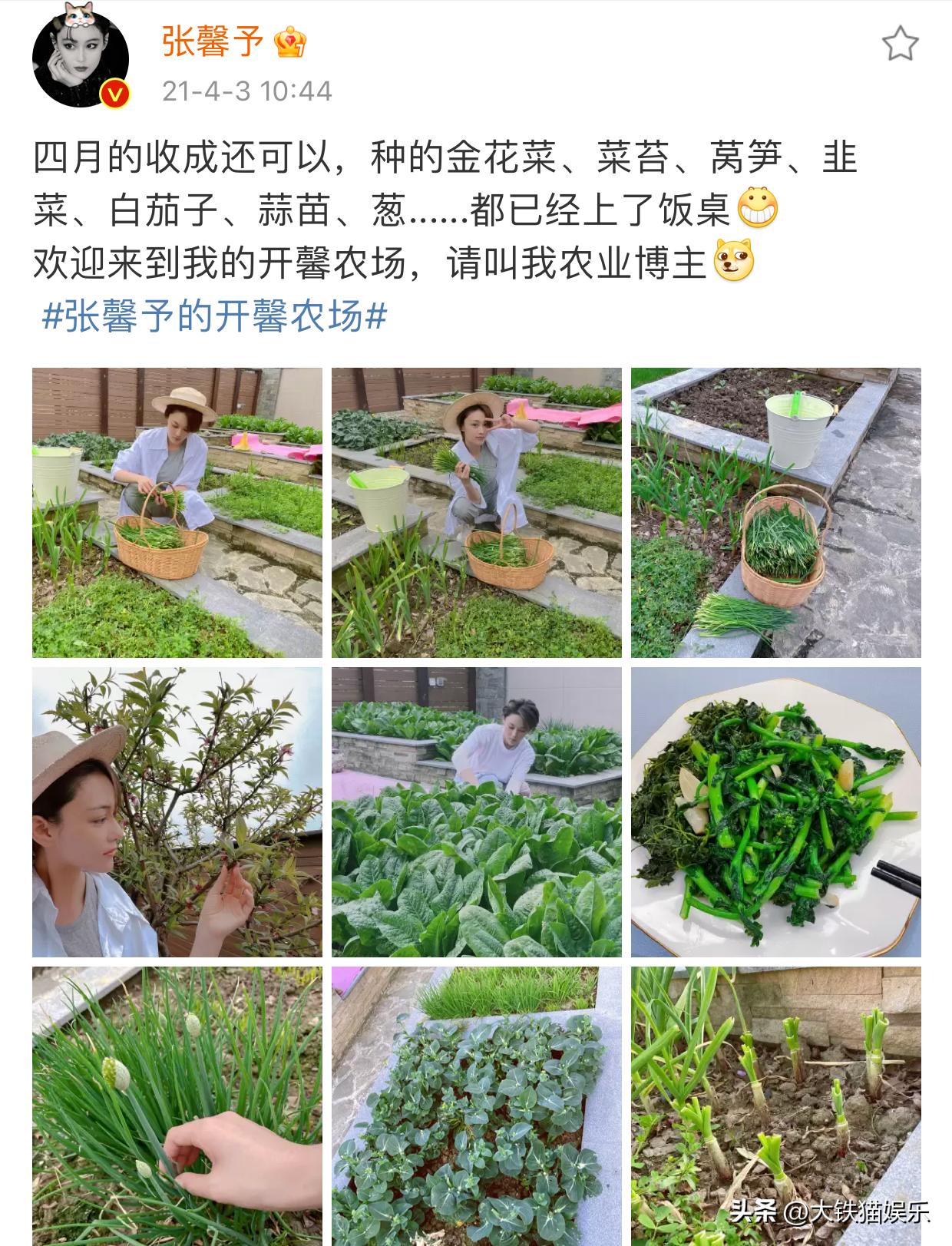 表面是女神,表面上是女神