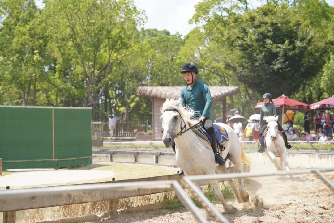 一月份去上海野生动物园和海洋馆,十一带大家去上海野生动物园玩