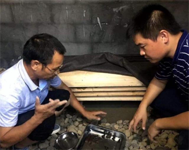 广西养蛇人视频,养蛇人最怕的毒蛇