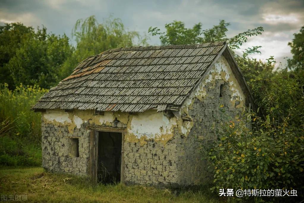 想姥姥的歌曲小视频,想姥姥的图片