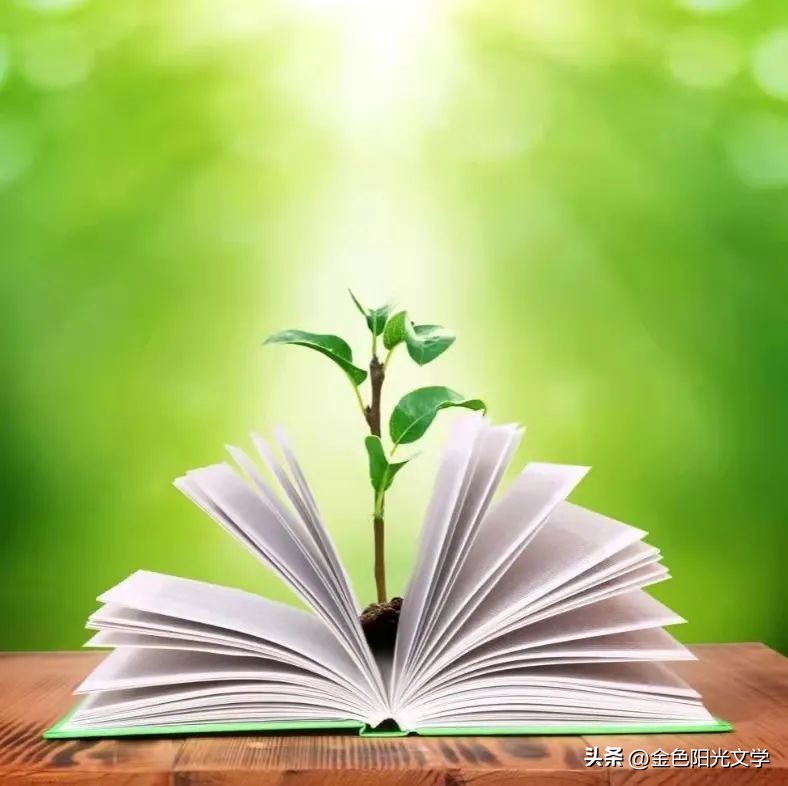 《下春雪啦》《阳台——我的乐园》《足球场——我的乐园》