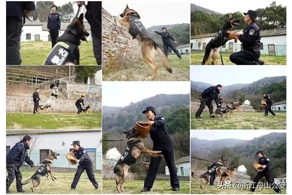 这家新媒体工作室很潮！很飒！很亮眼！