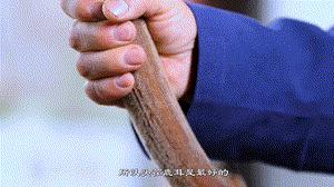 中药炮制技艺非遗传承,中药鹿茸怎么炮制