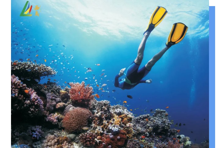 【三亚海滨康养】住在专属中国的“夏威夷”看椰林细浪享海滨风情