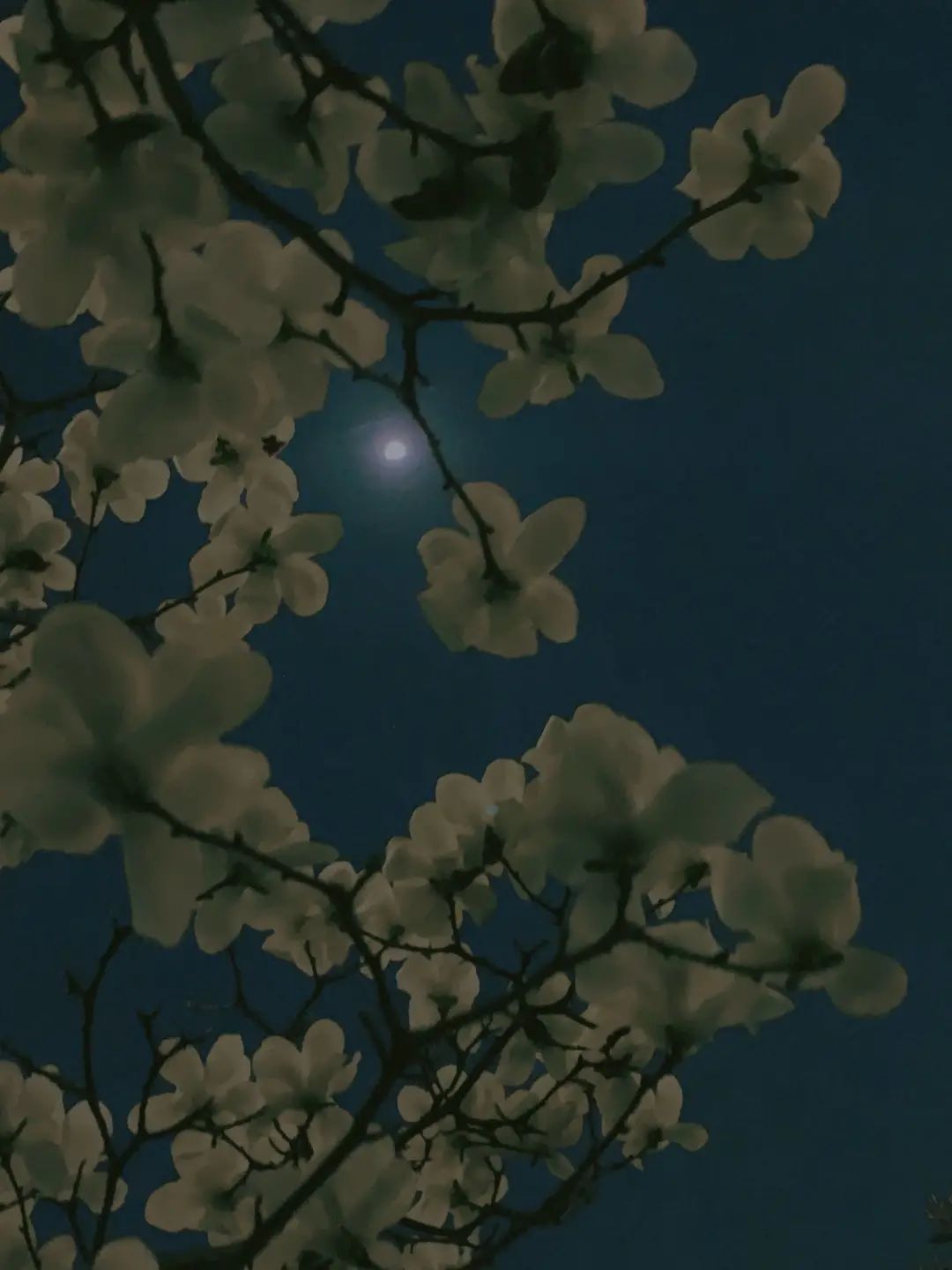 错过了一个秋天,错过了一个春秋