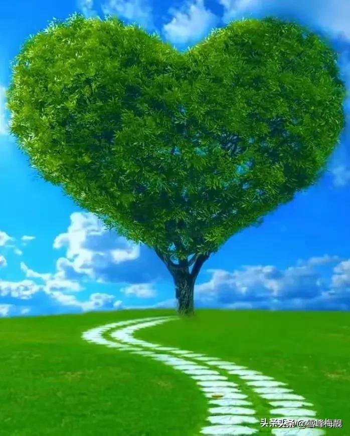 疫情之下的生活状态和感悟,疫情之下对生命及生活的感悟