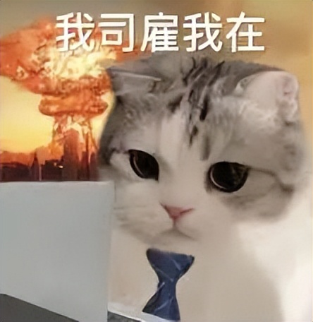 用ai开淘宝店,淘宝店铺开ai智能计划效果好吗