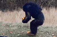 你觉得结婚和不结婚什么区别呢,你们觉得结婚和没结婚有什么区别