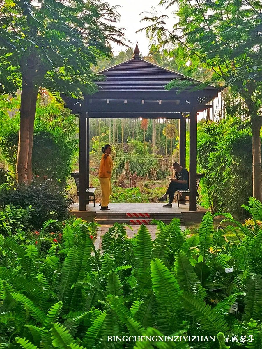 旅居海南：九所新区的浪漫情