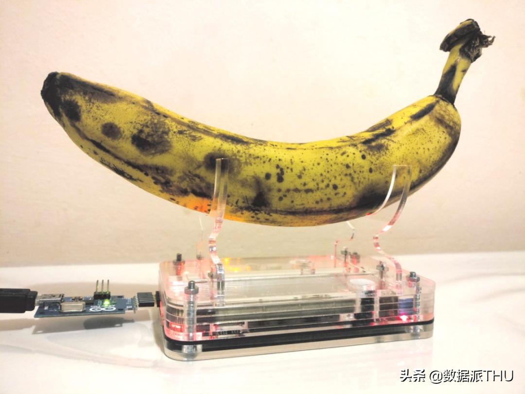 随机数生成器有没有bug,随机数生成软件是什么