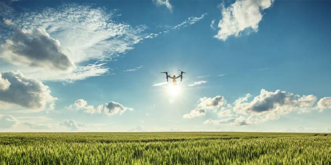 插上科技“翅膀”，油莎豆事业进入智能机械时代！