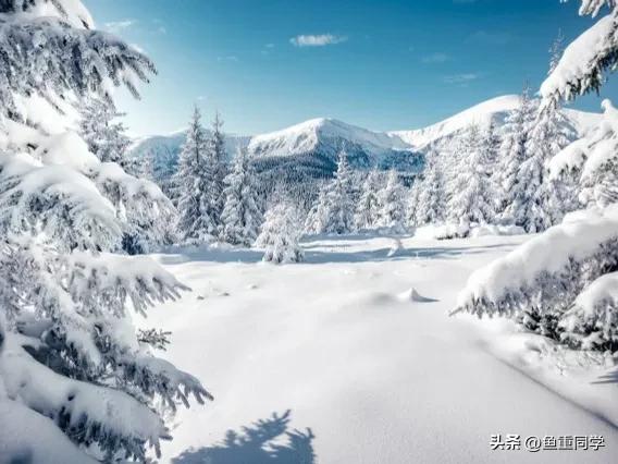 数九天从哪一天开始算,数九天怎么算出来的