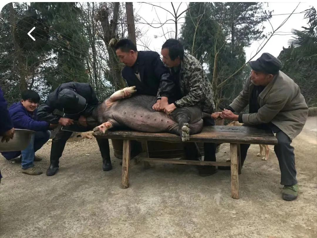 马上过年了，又回想起小时候过年那才叫热闹、有意思、民俗味真浓