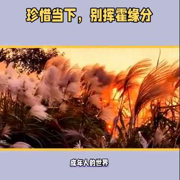 思维格局100例视频,思维格局馆