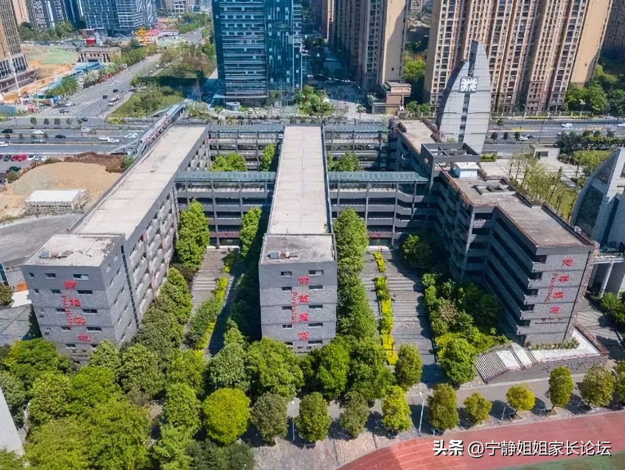 石室系中学,成都高新区石室中学初中学校