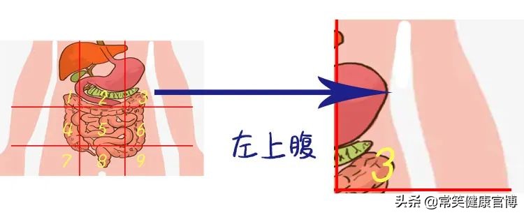 肚子疼胀痛部位对照表,肚子疼是哪里有问题一张图告诉你