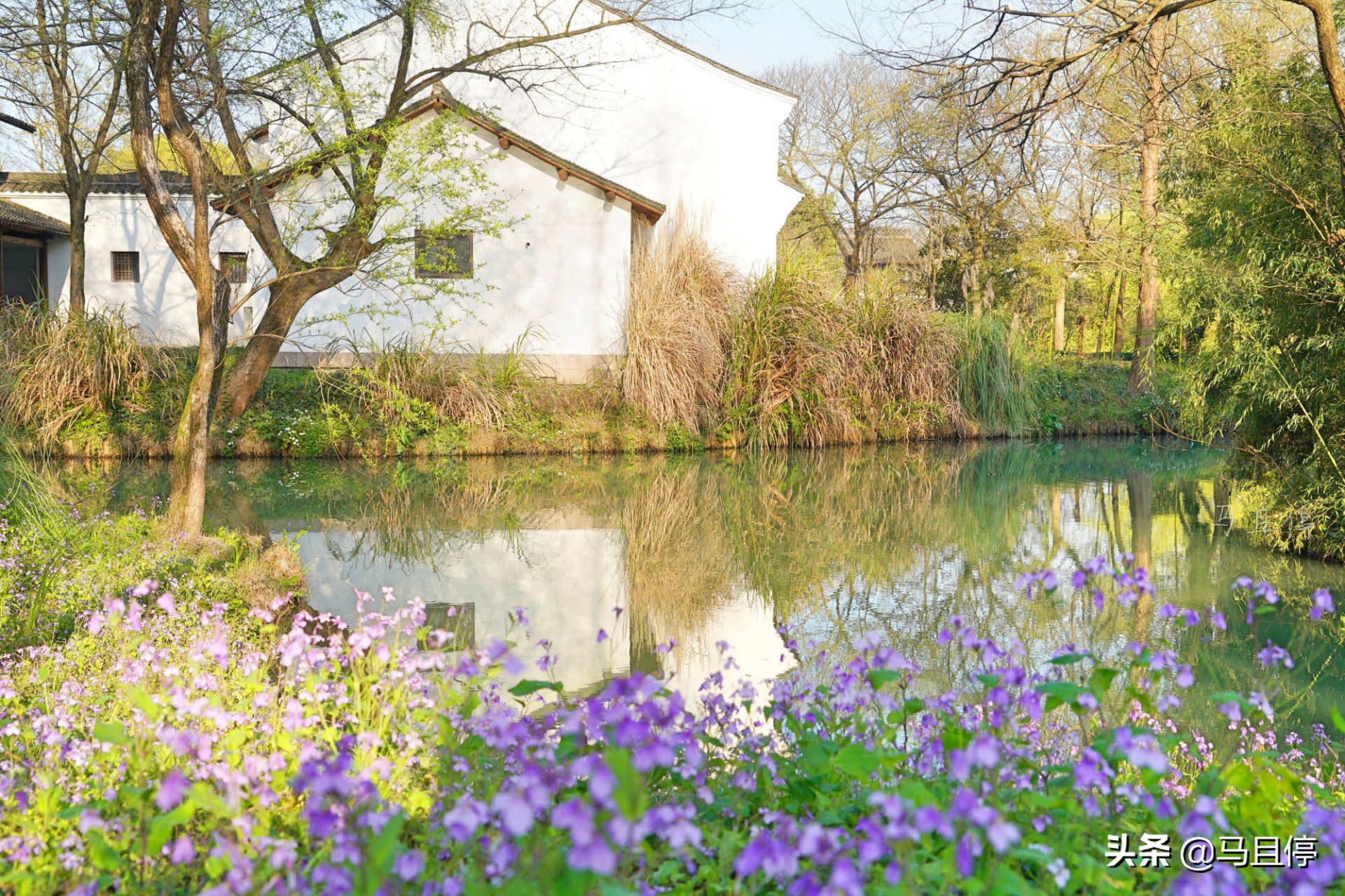 杭州五月最佳旅行地清单,四月西湖旅游攻略