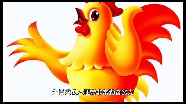 生肖鸡女人优点与缺点,生肖鸡的最大优点与最大缺点