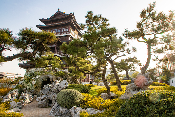 豫南一县城冒出“苏州园林”，盛世造园杰作入选中国园林精品范例