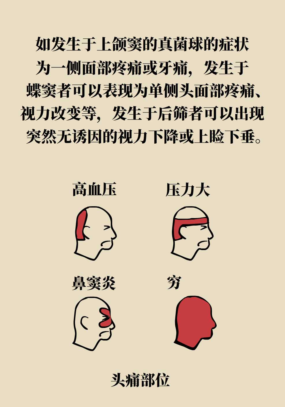 霉菌长什么样,鼻子里的霉菌图片