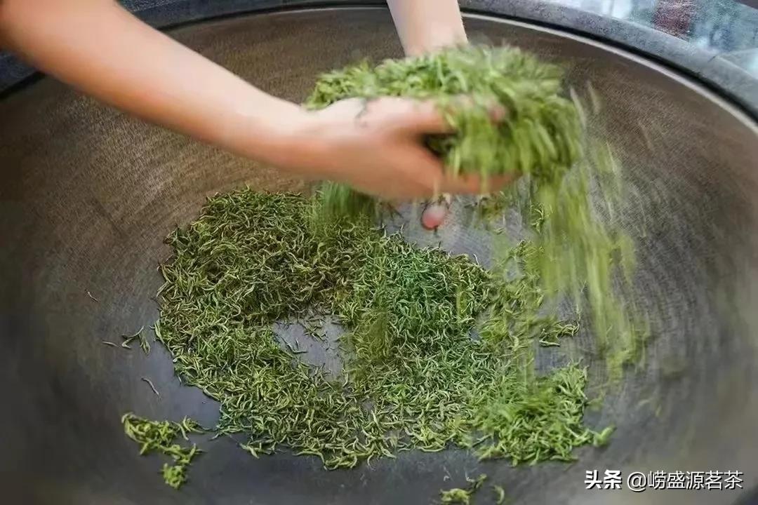 自家种的正宗崂山茶,选购正宗的崂山茶找对渠道很关键