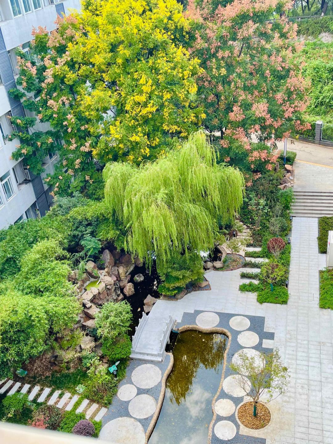 一句话总结南京高校,三句话赞美学校