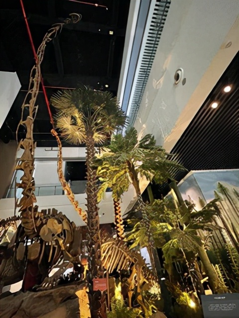 昆明一座让人流连忘返的城市,被低估的旅游城市昆明