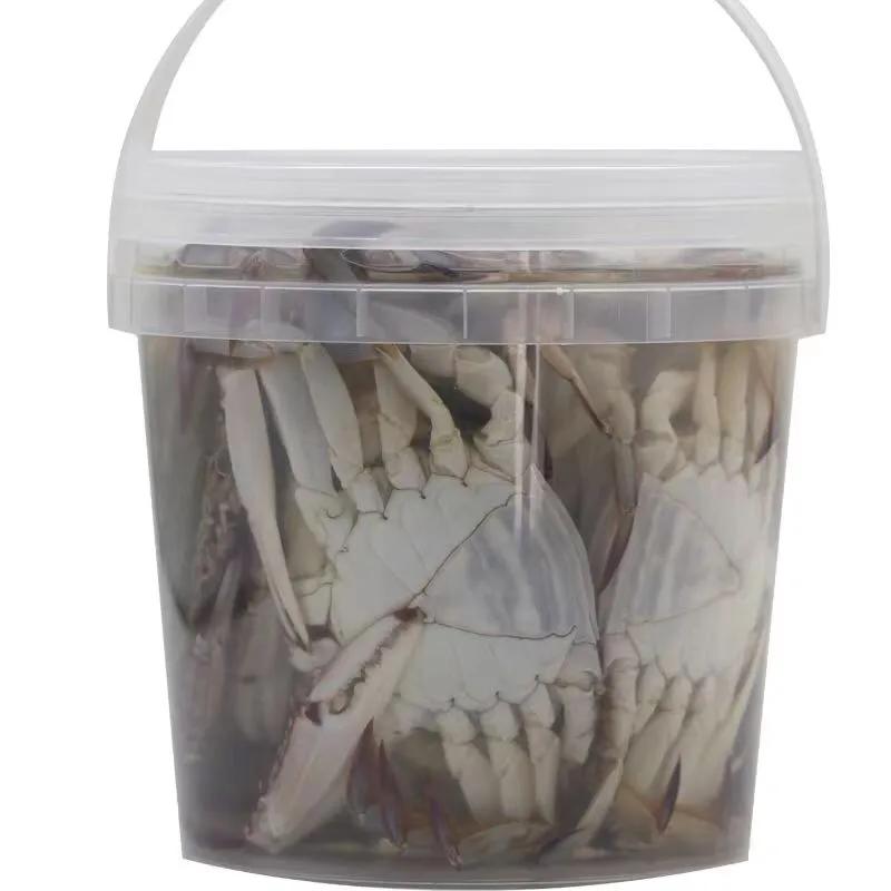 【田齐情怀】《咸螃蟹》