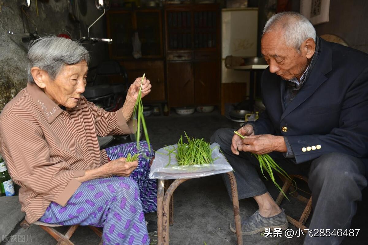鑰佺櫨濮撴專閽卞幓浜嗗摢,鑰佺櫨濮撹鎬庝箞鎸ｉ挶