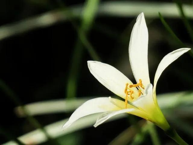 如何做到赞美到点子上,赞美的话需要说到点子上