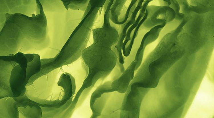 开学季肌肤怎么护理,开学保养皮肤