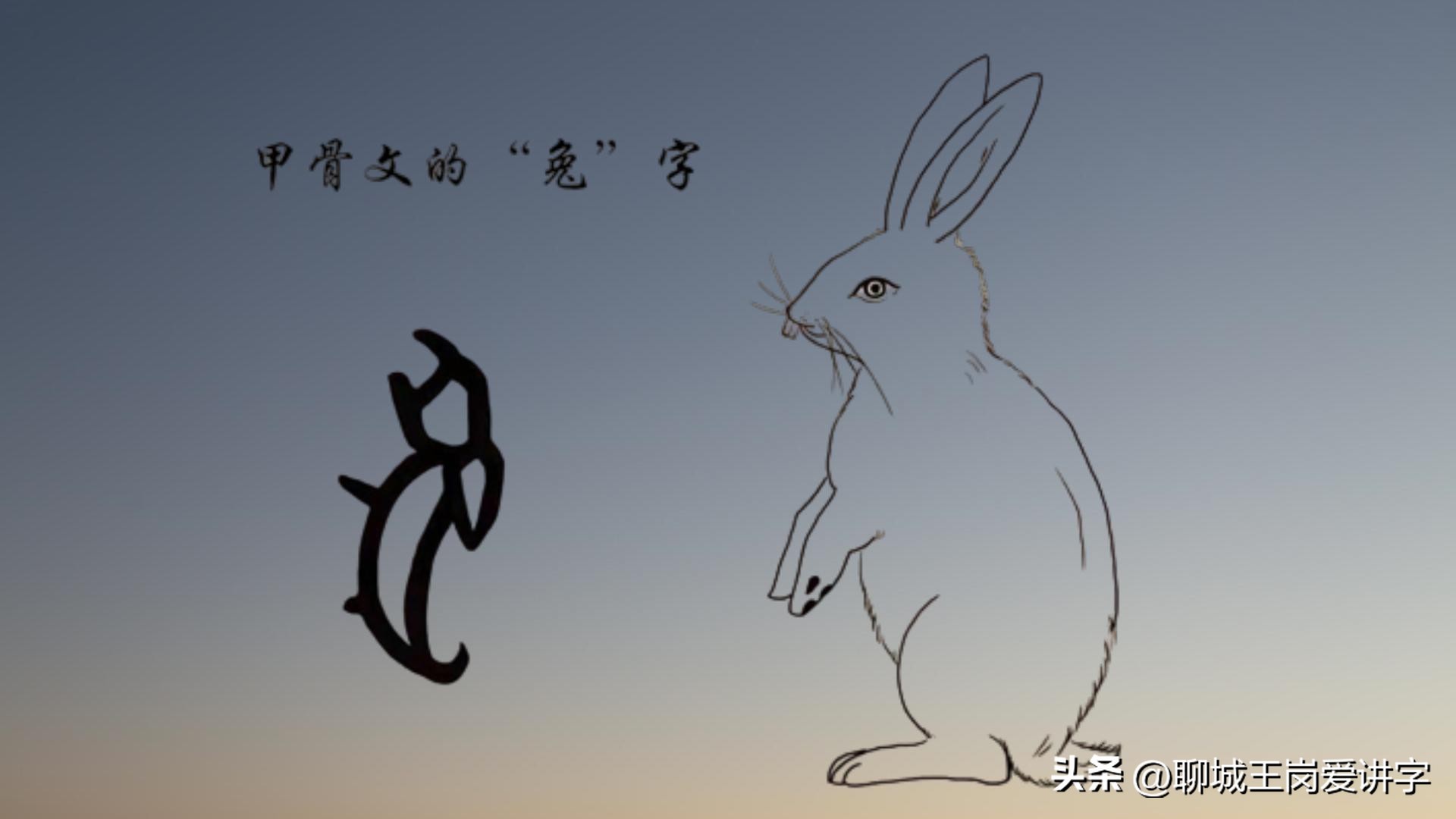 兔年简短对话,兔年互动语言