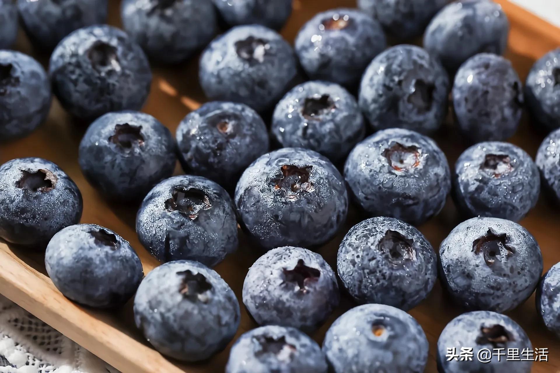 云南昆明蓝莓果,云南丽江蓝莓果