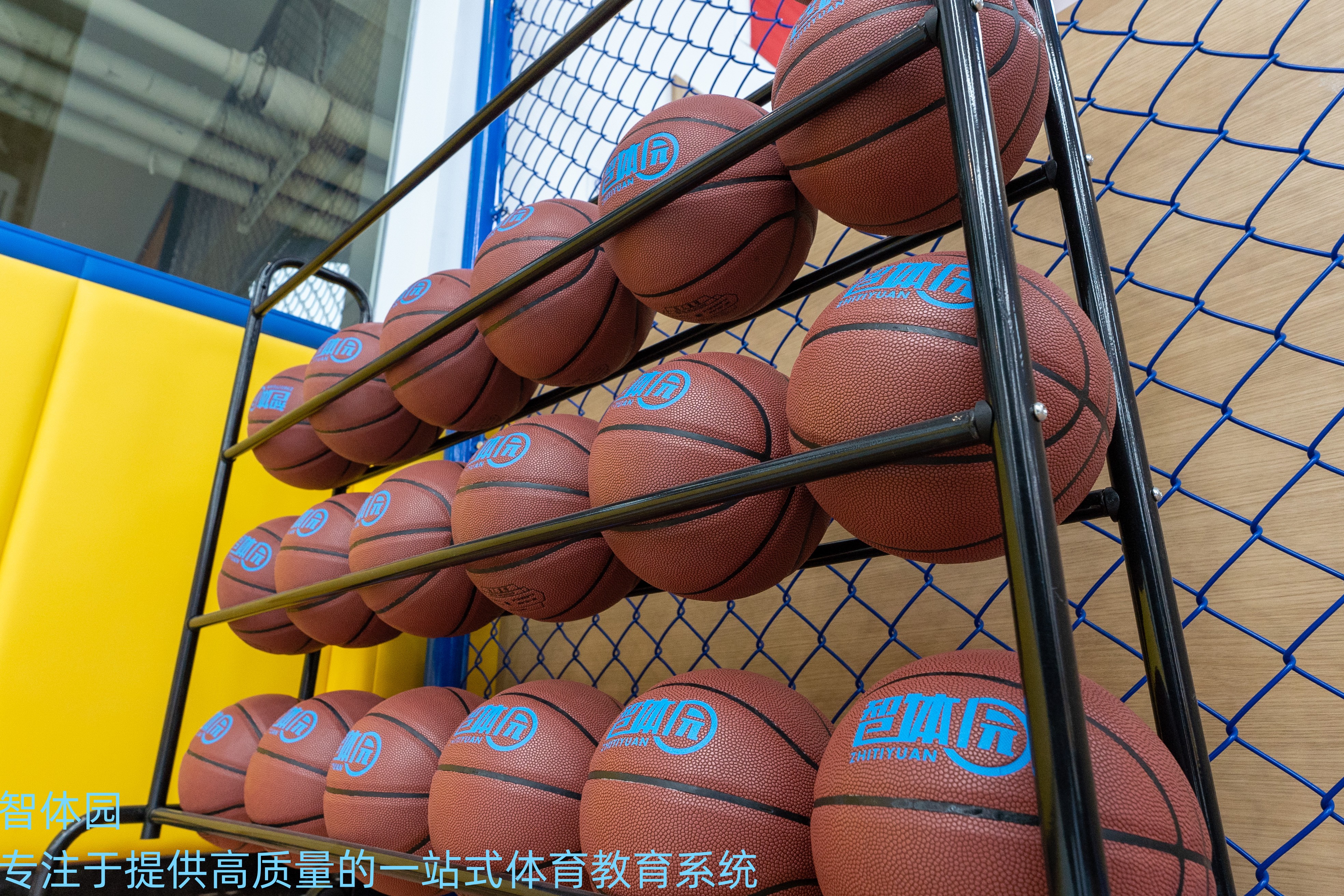 儿童体智能篮球教学,幼儿体适能趣味篮球训练